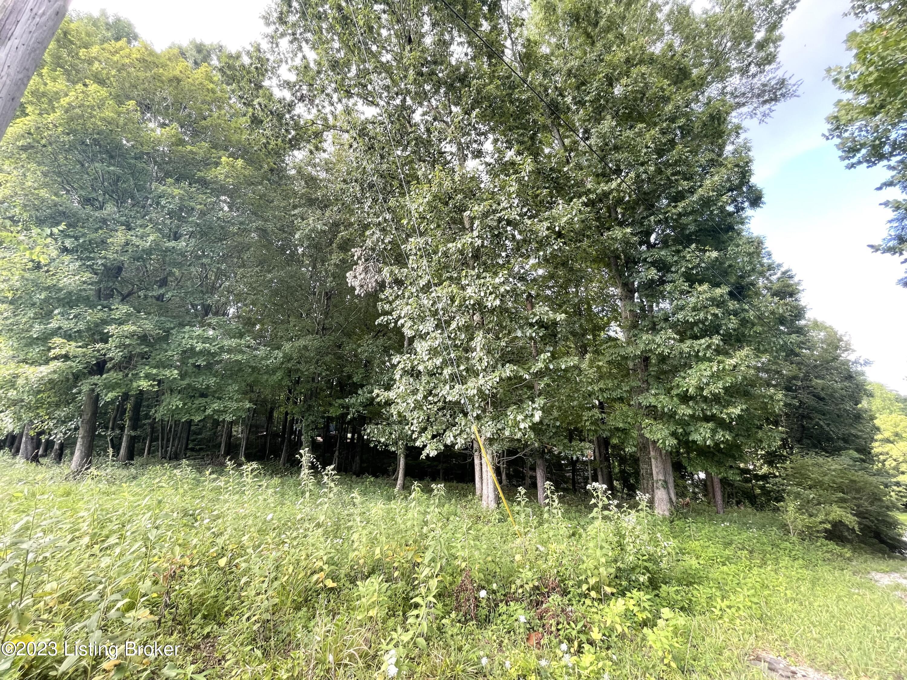 9394959 Park Cir, New Haven, Kentucky image 1
