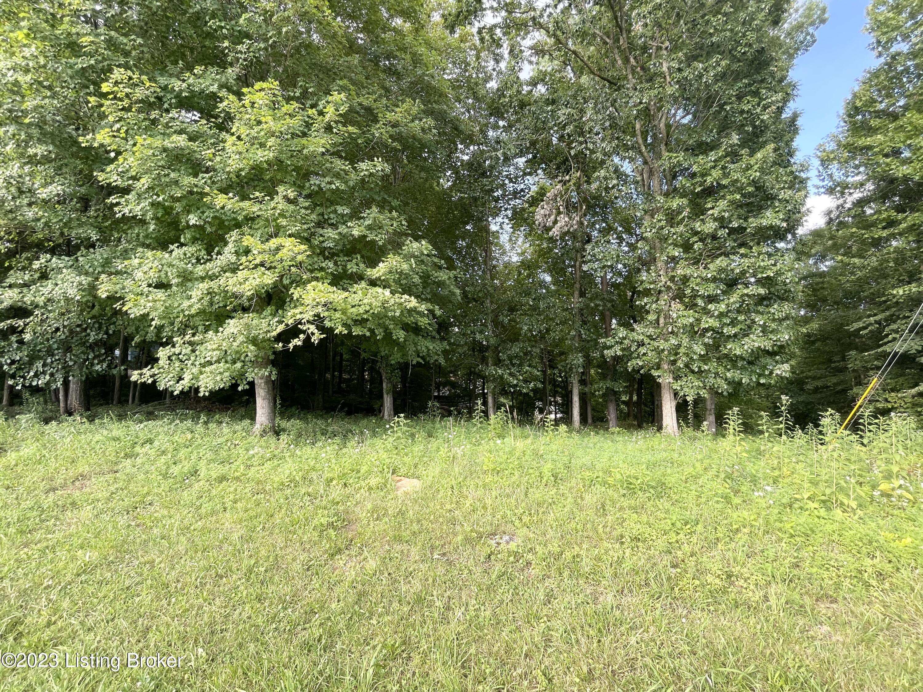 9394959 Park Cir, New Haven, Kentucky image 2