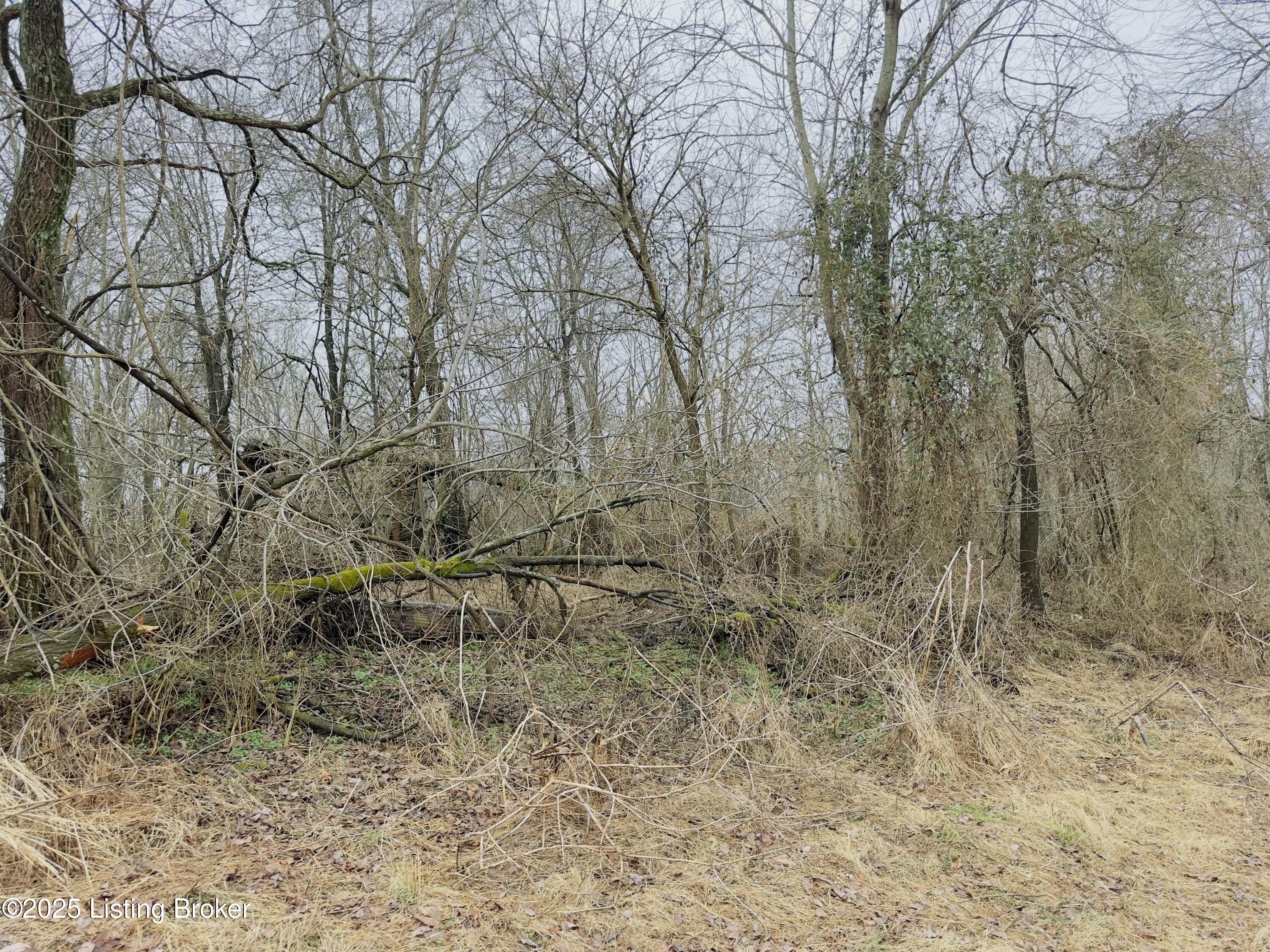 372 Lee Rd, Vine Grove, Kentucky image 5