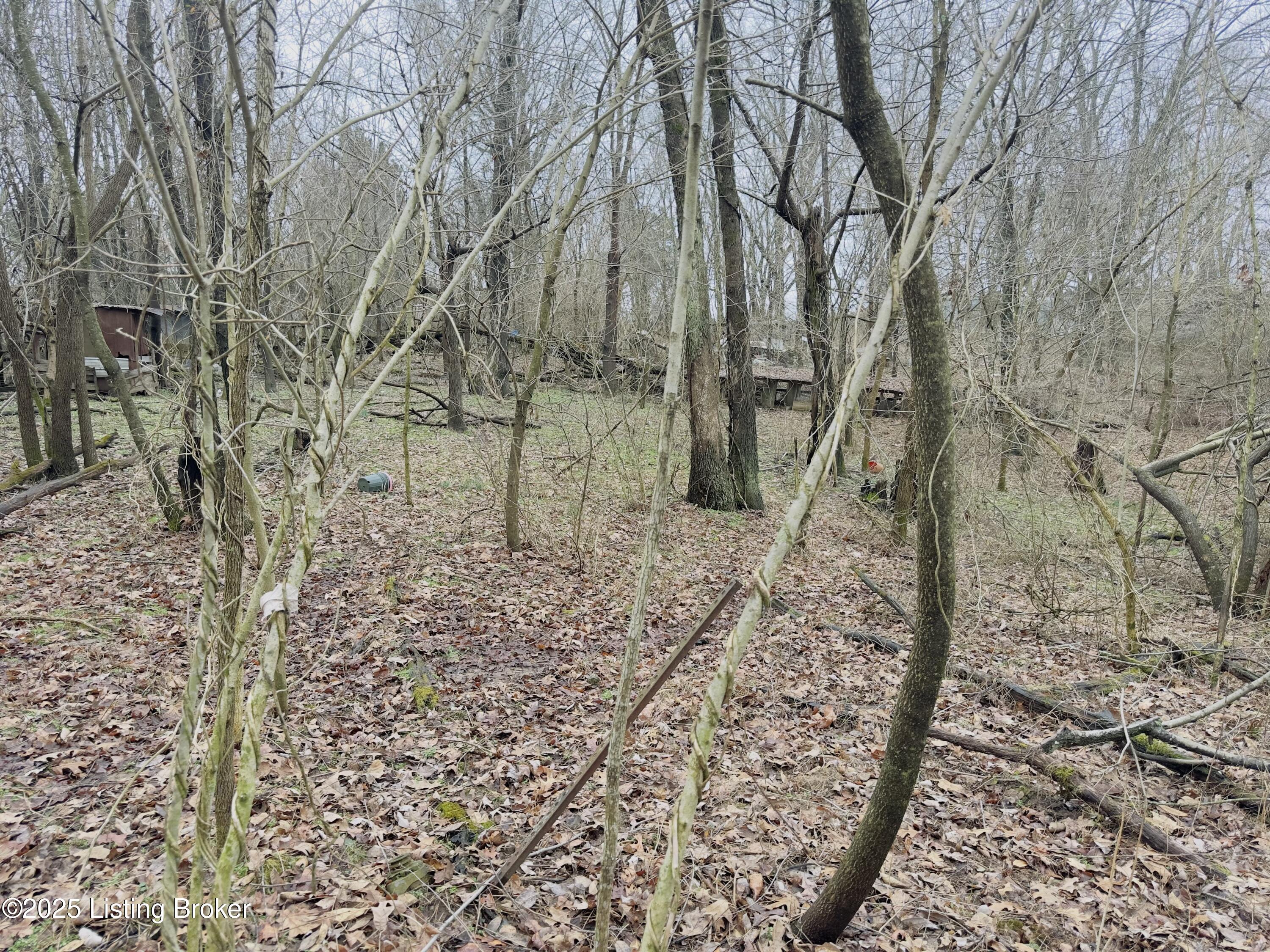 372 Lee Rd, Vine Grove, Kentucky image 6