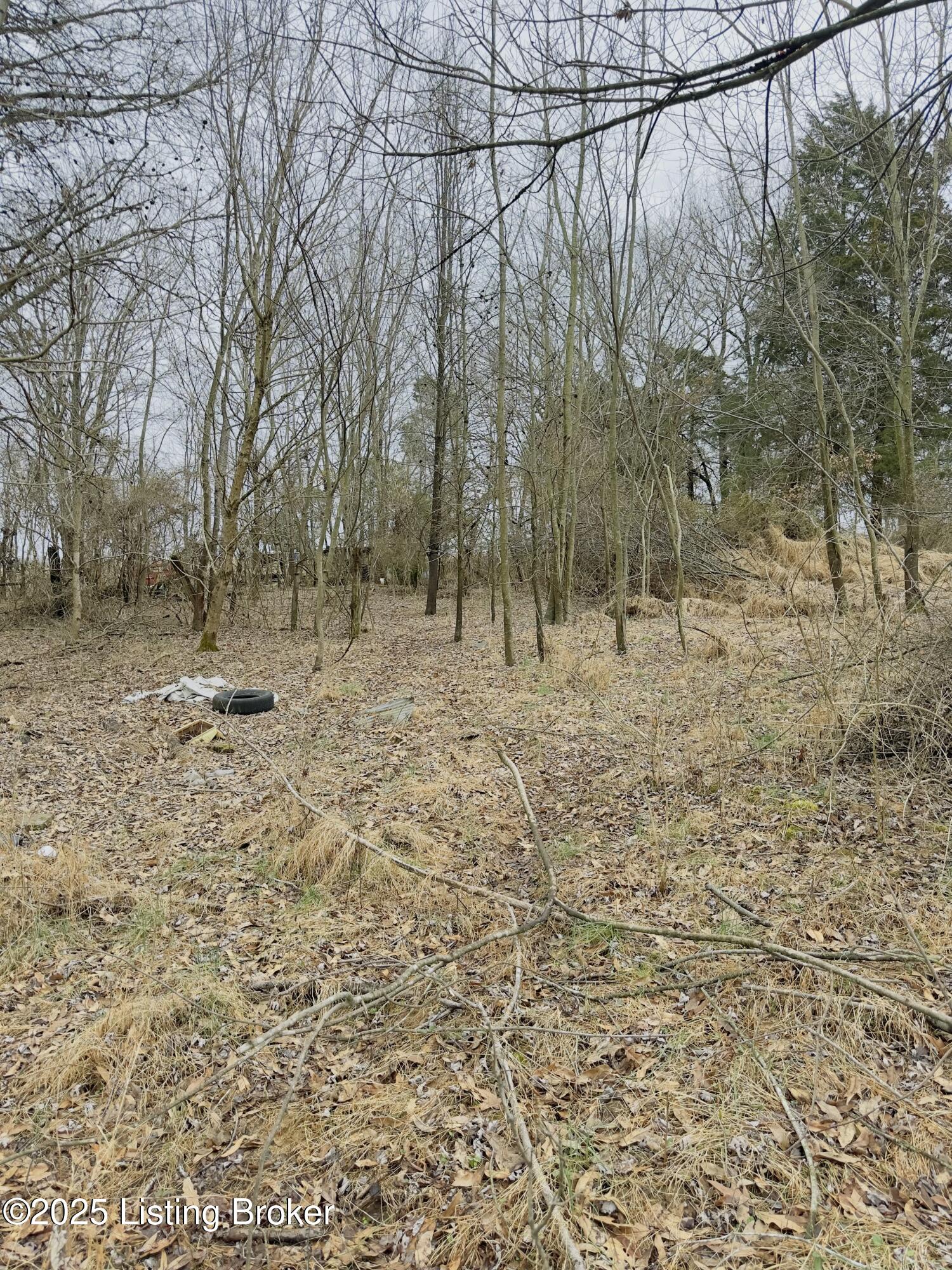 372 Lee Rd, Vine Grove, Kentucky image 2