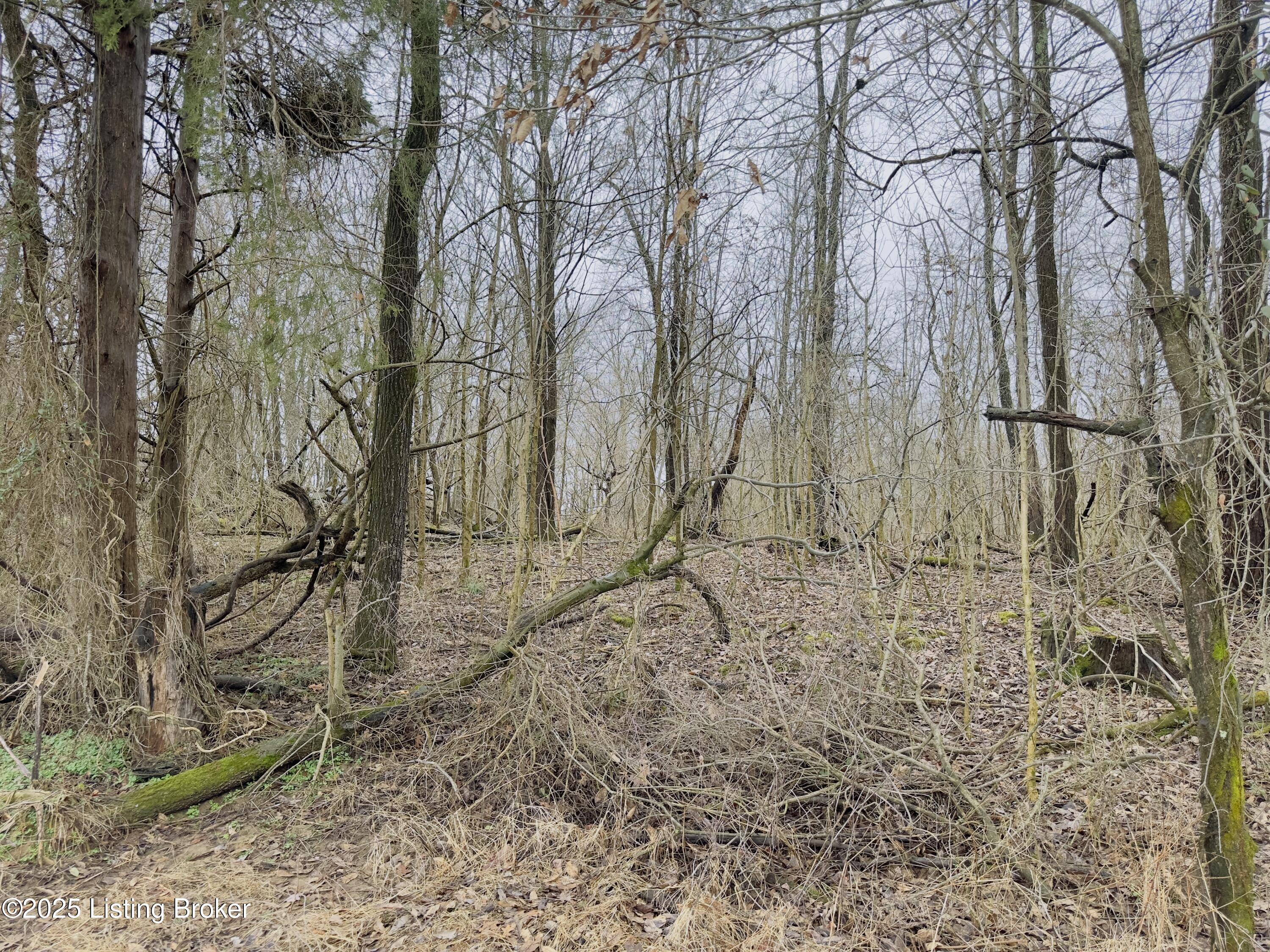 372 Lee Rd, Vine Grove, Kentucky image 1