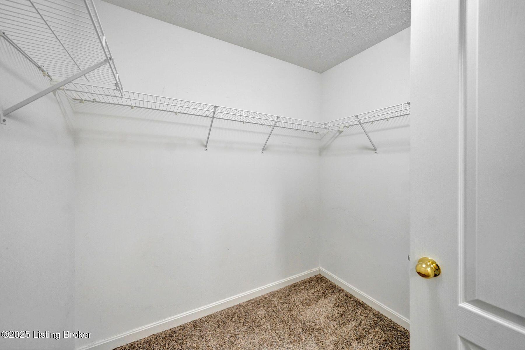 7518 Autumn Pointe Dr, Louisville, Kentucky image 29