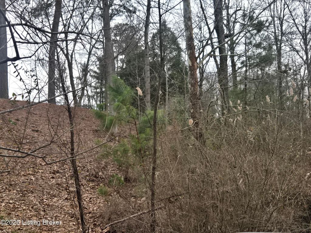 Photo of 0 Marina Point Ln, Falls Of Rough, KY 40119 (MLS # 1710222)