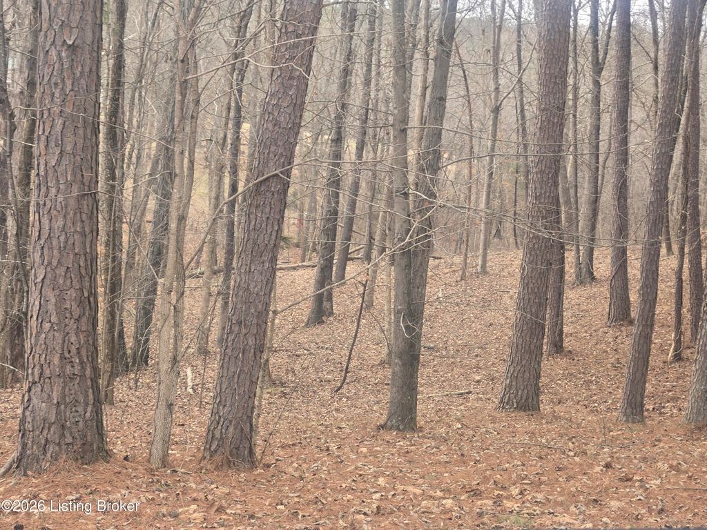 Photo of 0 Marina Point Ln, Falls Of Rough, KY 40119 (MLS # 1710222)
