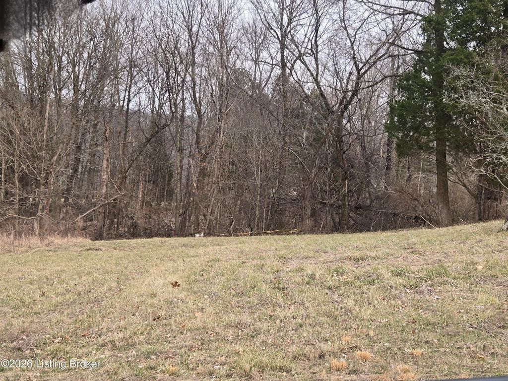 Photo of 0 Marina Point Ln, Falls Of Rough, KY 40119 (MLS # 1710222)