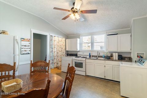 Tiny photo for 837 Mulberry St, Louisville, KY 40217 (MLS # 1709302)