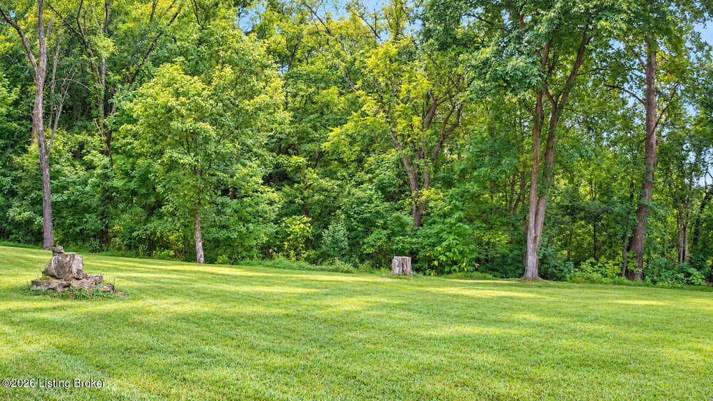 Photo of 584 W Beech Grove Rd, Shepherdsville, KY 40165 (MLS # 1730960)