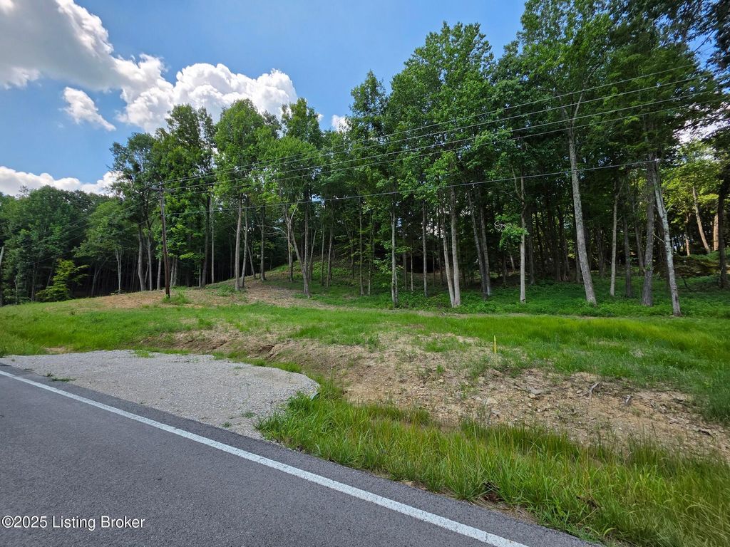 Photo of 6 Cave Creek Rd, Falls Of Rough, KY 40119 (MLS # 1707314)