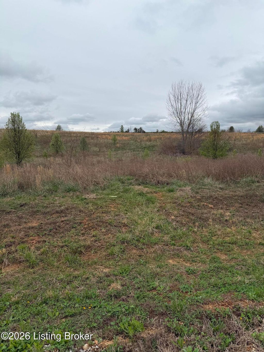 Photo of 177 Diamond Ct, Vine Grove, KY 40175 (MLS # 1712723)