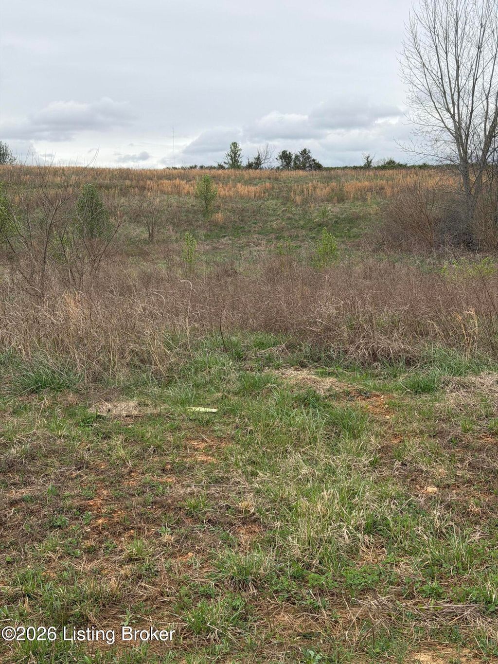 Photo of 177 Diamond Ct, Vine Grove, KY 40175 (MLS # 1712723)