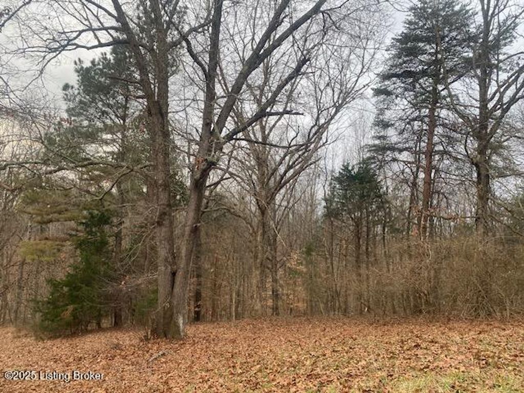 Photo of 2815 Clarktown Rd, New Haven, KY 40051 (MLS # 1706608)