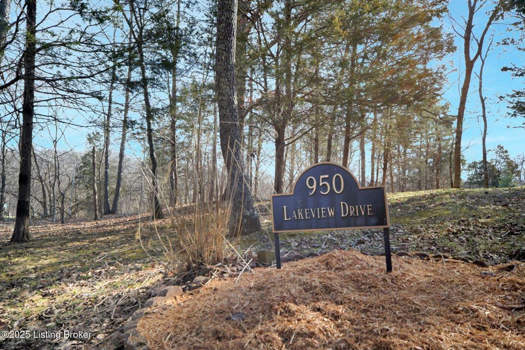 950 Lakeview Dr, Bloomfield, Kentucky image 42