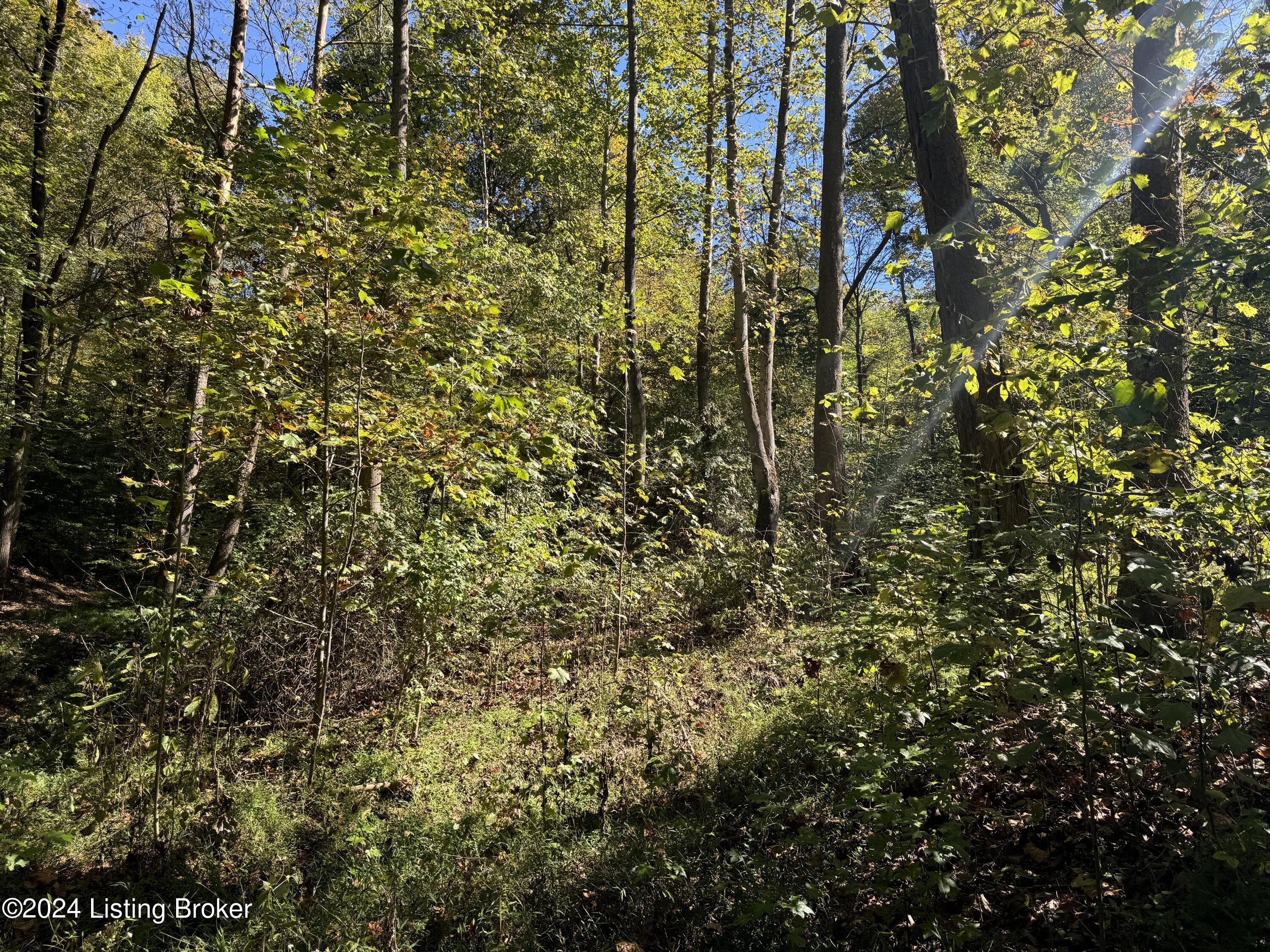 614 Winding Hollow Ln, Lebanon Junction, Kentucky image 10