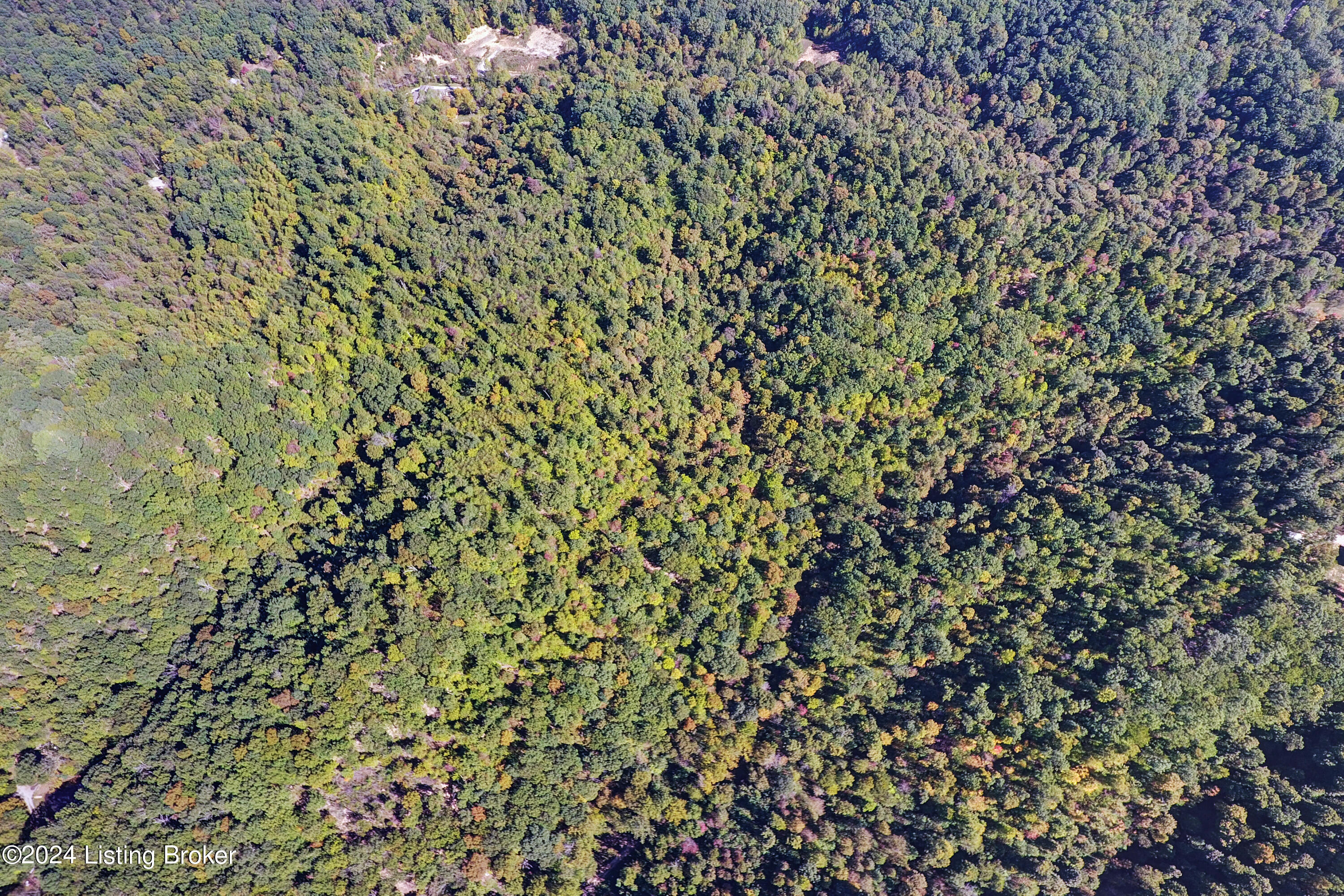 614 Winding Hollow Ln, Lebanon Junction, Kentucky image 14