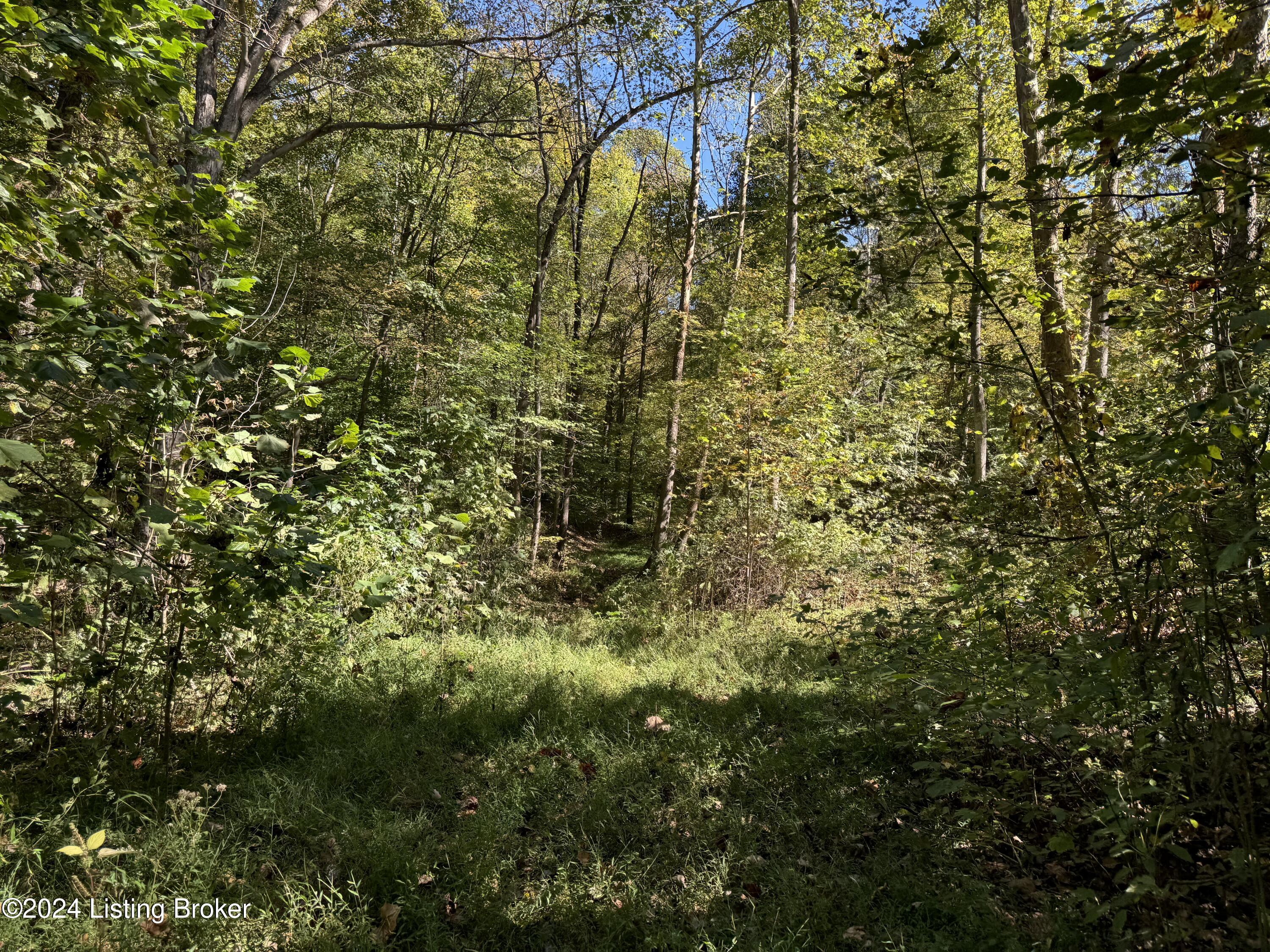614 Winding Hollow Ln, Lebanon Junction, Kentucky image 8