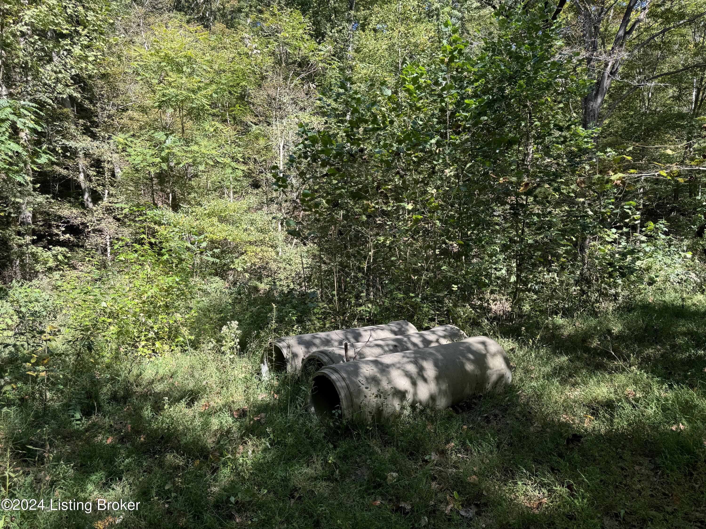 614 Winding Hollow Ln, Lebanon Junction, Kentucky image 11