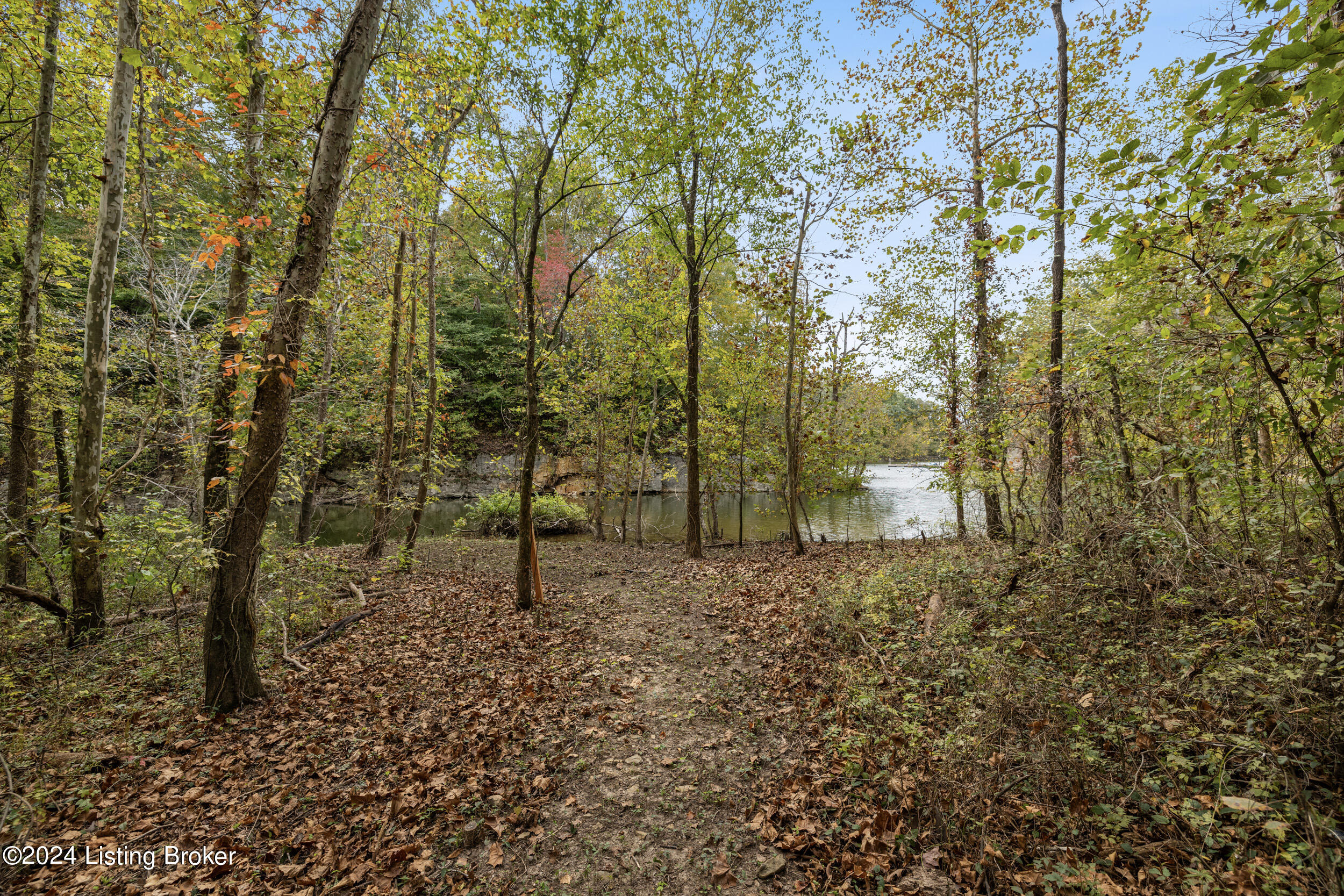1725 Brier Creek Rd, Mammoth Cave, Pennsylvania image 38