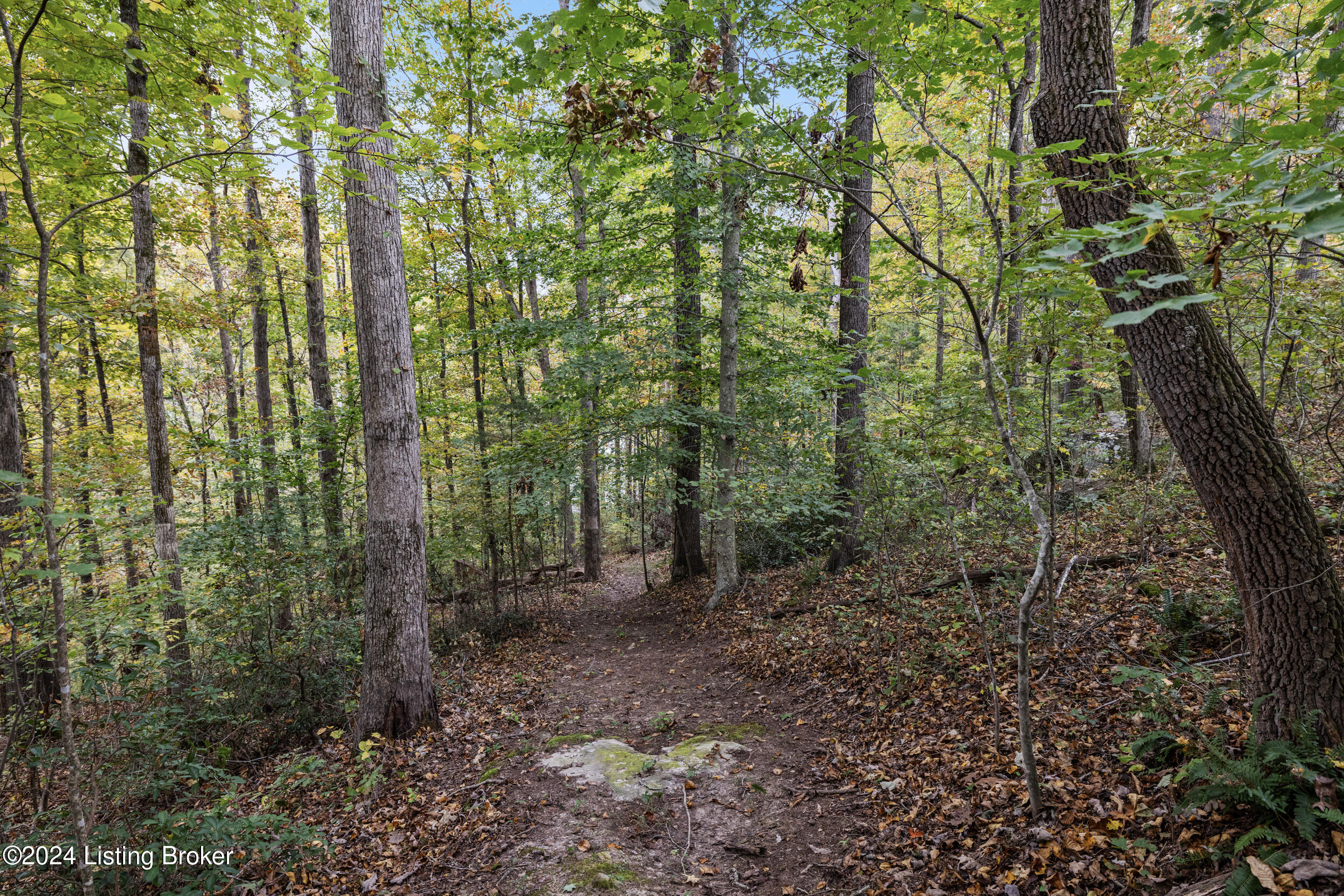 1725 Brier Creek Rd, Mammoth Cave, Pennsylvania image 34