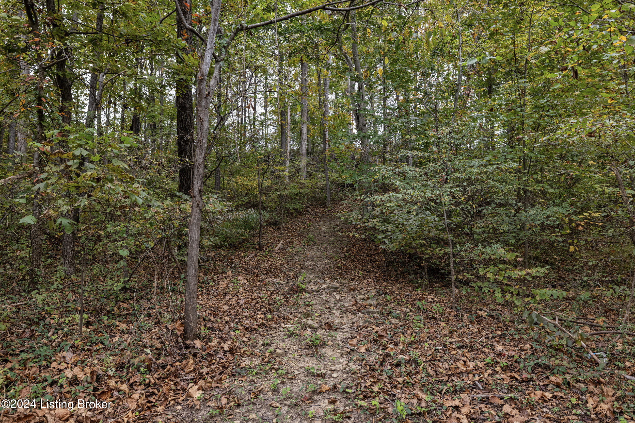 1725 Brier Creek Rd, Mammoth Cave, Pennsylvania image 36