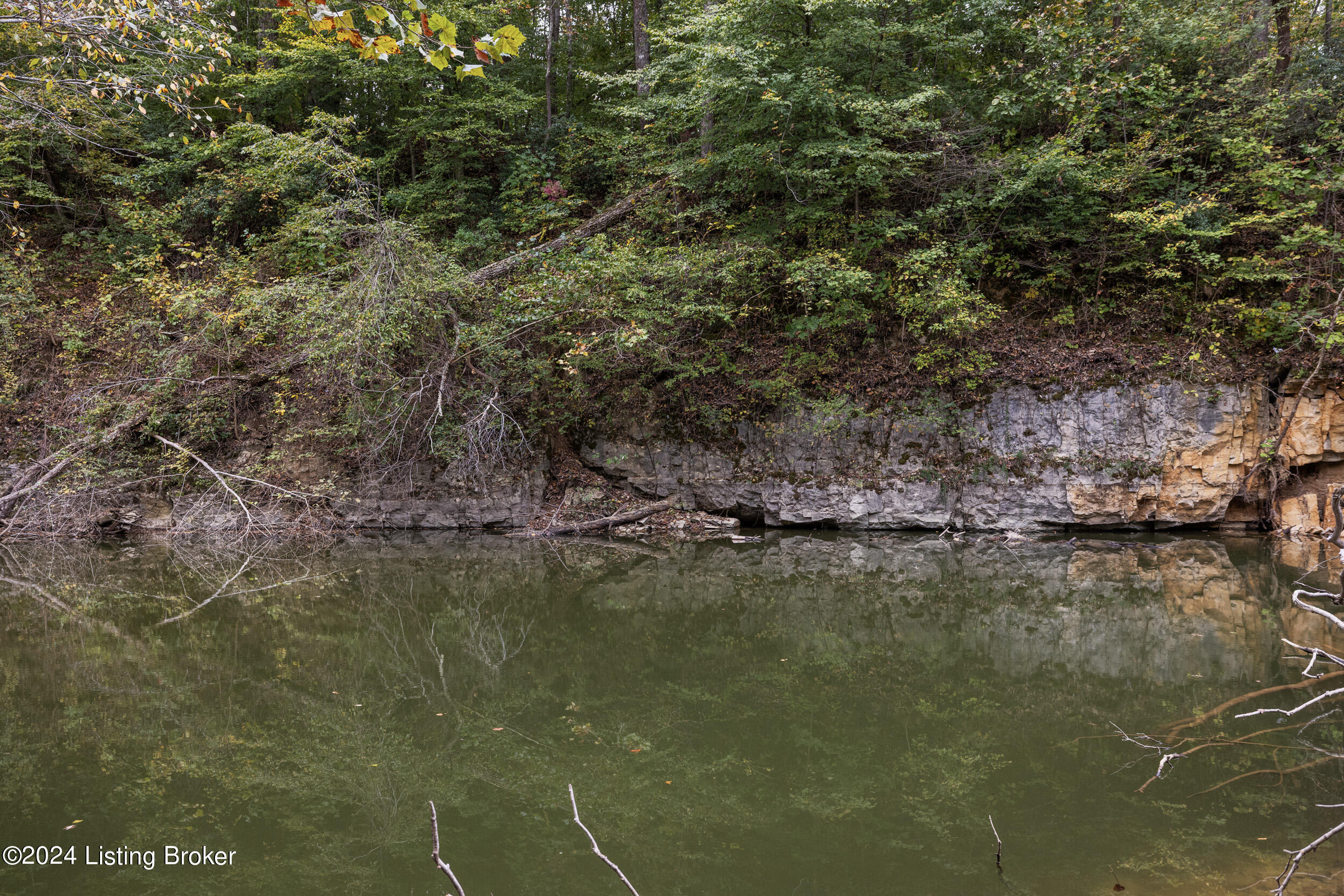 1725 Brier Creek Rd, Mammoth Cave, Pennsylvania image 39