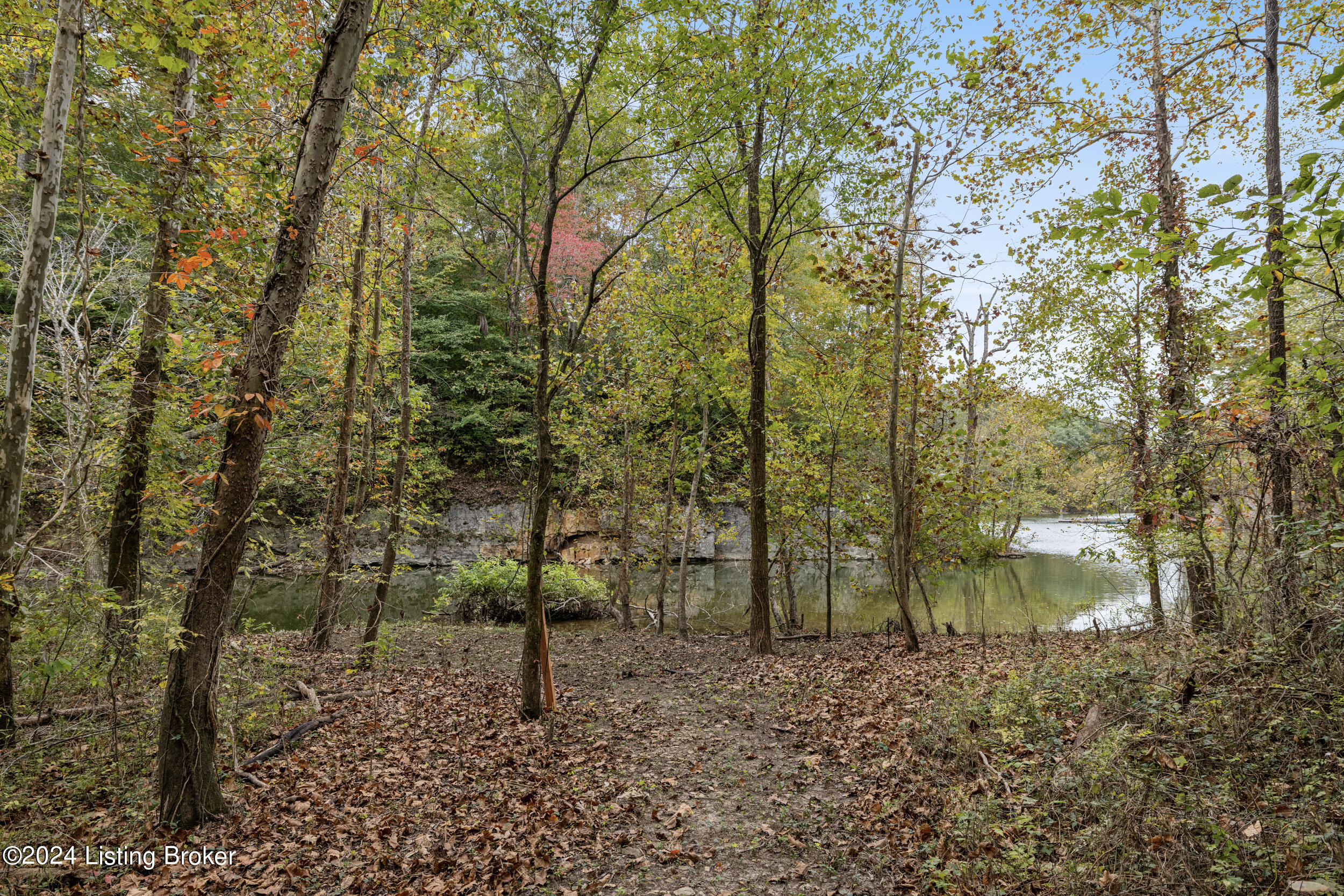 1725 Brier Creek Rd, Mammoth Cave, Pennsylvania image 37