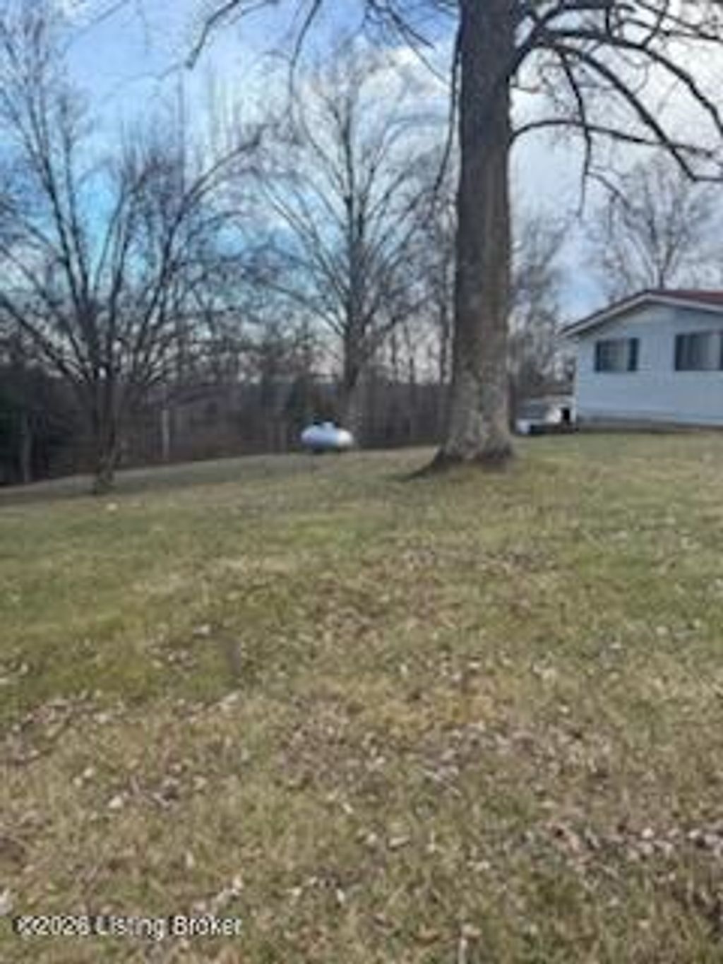 Photo of 20 S Spillman Ln, Milton, KY 40045 (MLS # 1707175)