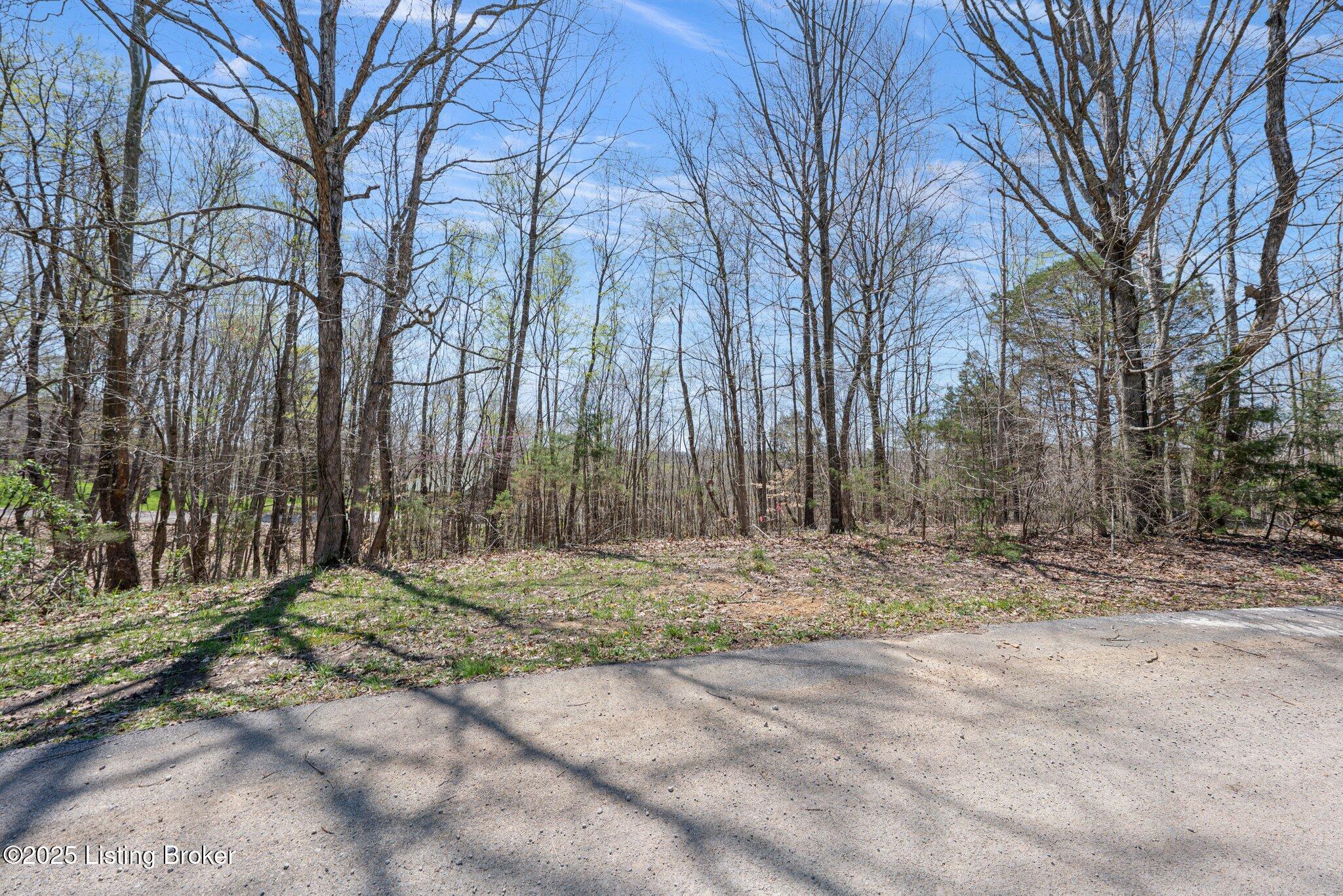 573 Hideaway Cir, Cub Run, Kentucky image 7