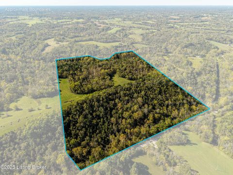 Vacant Land For Sale - 3440 Back Creek Rd #B<br/> Shelby County, Waddy, KY 40076