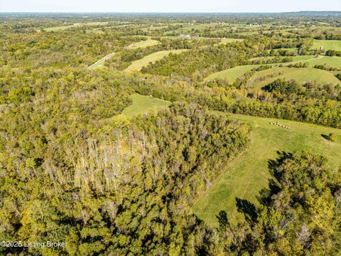 Vacant Land For Sale - 3440 Back Creek Rd #B<br/> Shelby County, Waddy, KY 40076