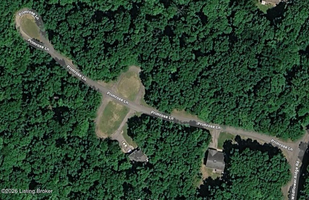 Photo of 137 Primrose Ln, Doe Valley, KY 40108 (MLS # 1709847)