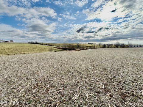 Vacant Land For Sale - 1656-2 Old Perryville Loop<br/> Springfield, KY 40069
