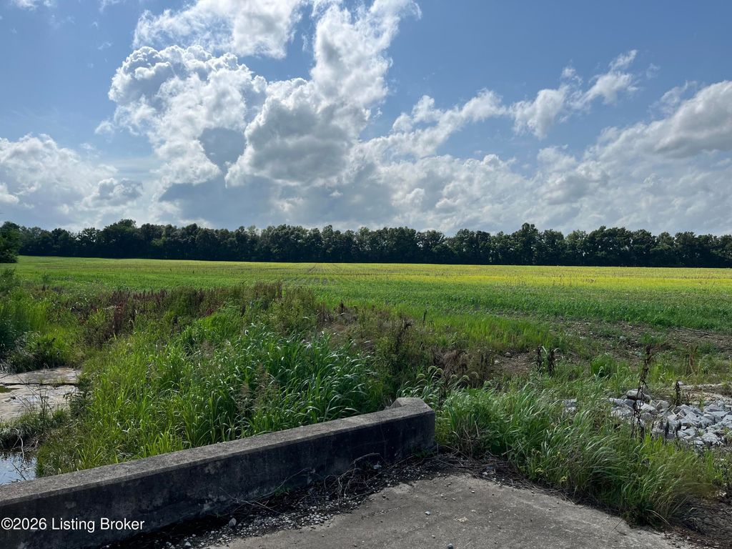 Photo of 1355 Salt River Rd, Leitchfield, KY 42754 (MLS # 1711426)