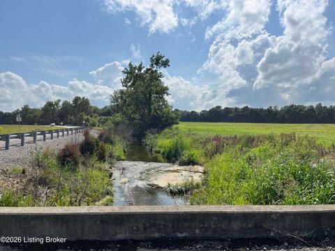 Vacant Land For Sale - 1355 Salt River Rd<br/> Grayson County, Leitchfield, KY 42754