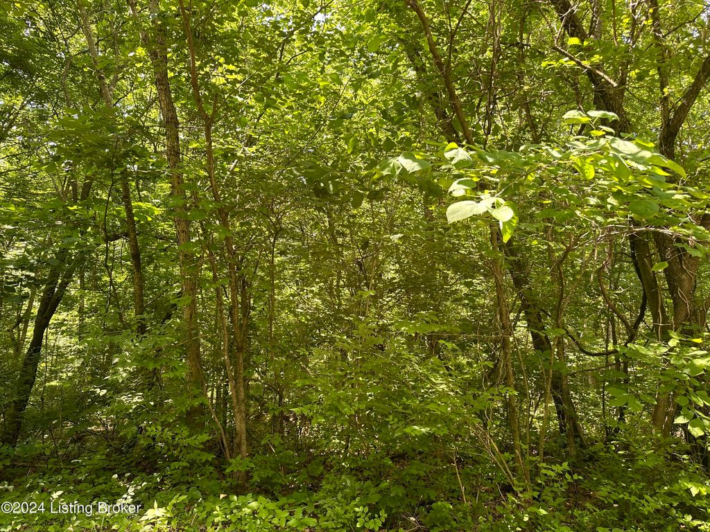 Photo of 272, 277 Hills Pl, New Haven, KY 40051 (MLS # 1704821)