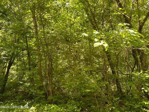 Vacant Land For Sale - 272 277 Hills Pl<br/> New Haven, KY 40051