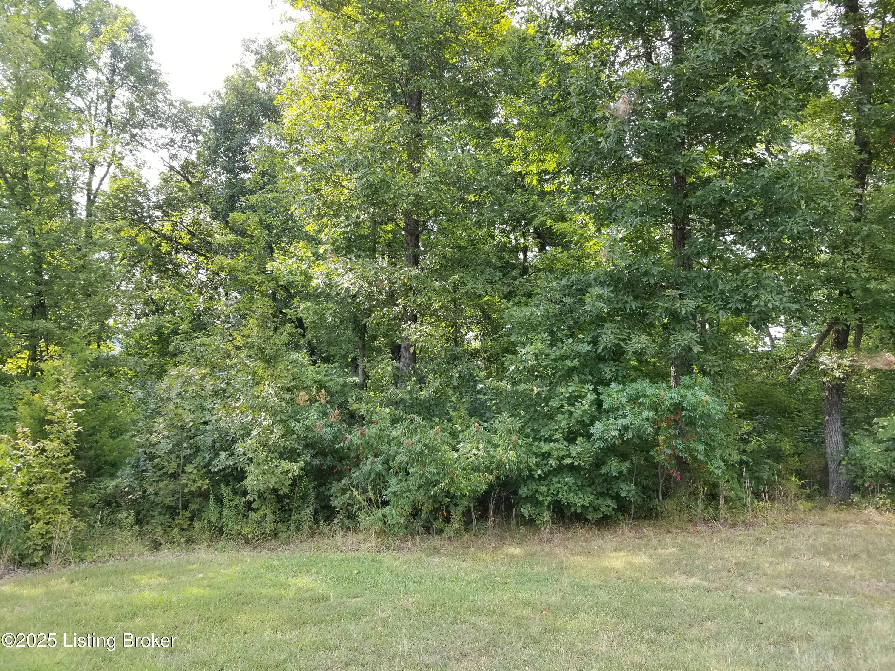 Lot 55 Patriots Landing Ln, Falls Of Rough, Kentucky image 10