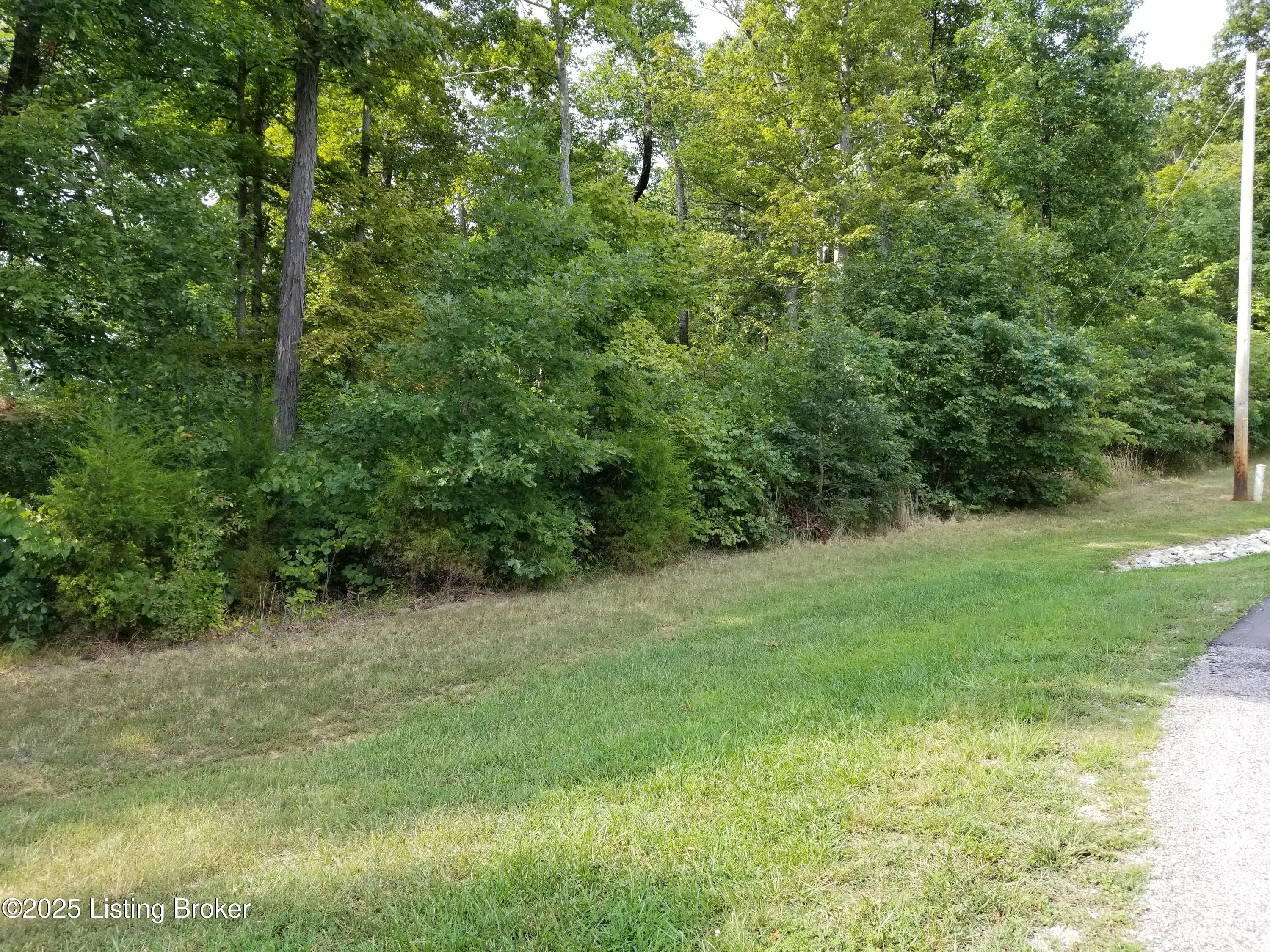 Lot 55 Patriots Landing Ln, Falls Of Rough, Kentucky image 11