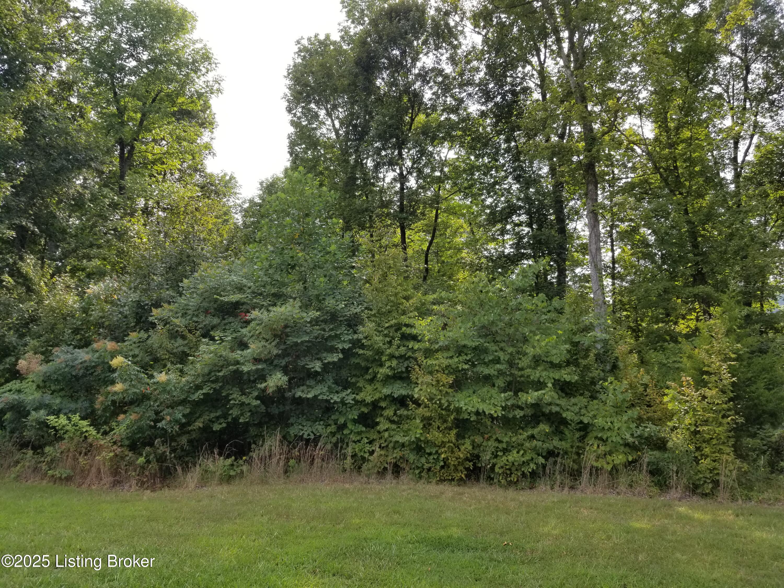 Lot 55 Patriots Landing Ln, Falls Of Rough, Kentucky image 6