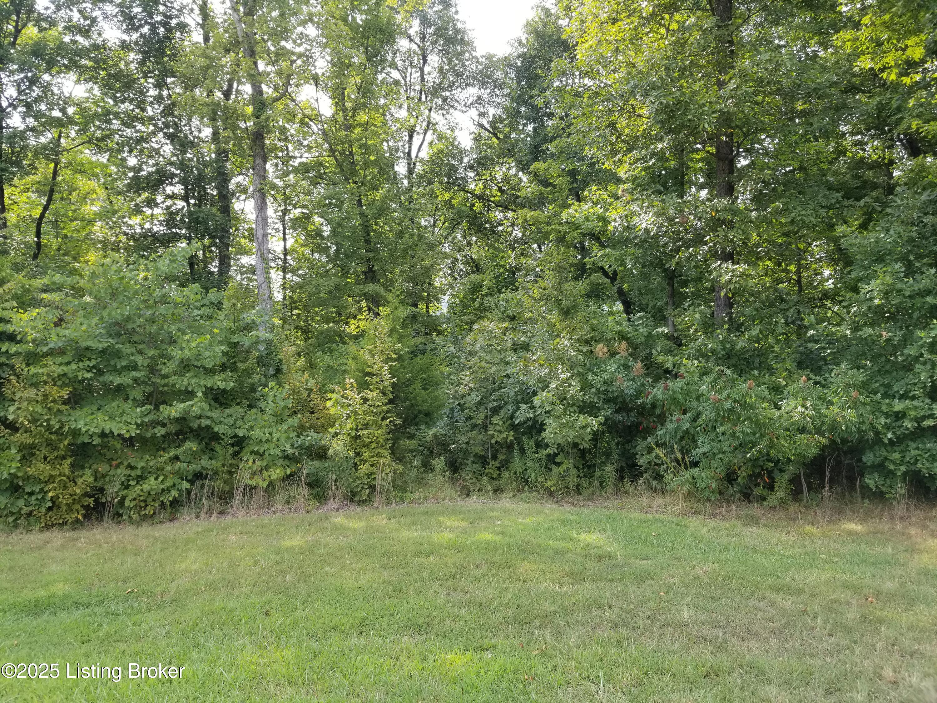 Lot 55 Patriots Landing Ln, Falls Of Rough, Kentucky image 7