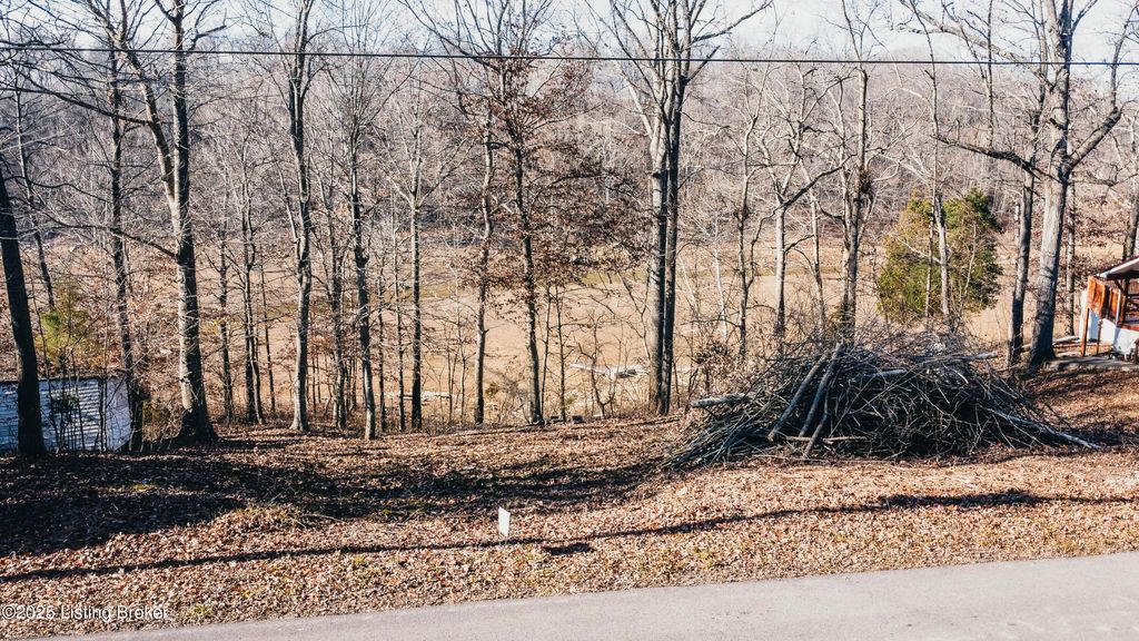 Photo of Lot 57 Tules Creek Loop, Westview, KY 40178 (MLS # 1705284)