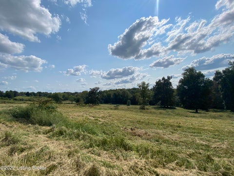 Vacant Land For Sale - 17 Tivitt Ln<br/> Hardinsburg, KY 40143