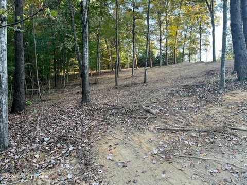 Vacant Land For Sale - 0013 Wildwood Ln<br/> Grayson County, Caneyville, KY 42721