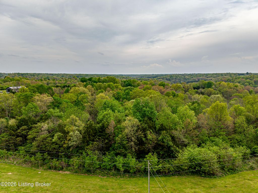 Photo of TR 16 Scrabble Rd, Bagdad, KY 40003 (MLS # 1715586)