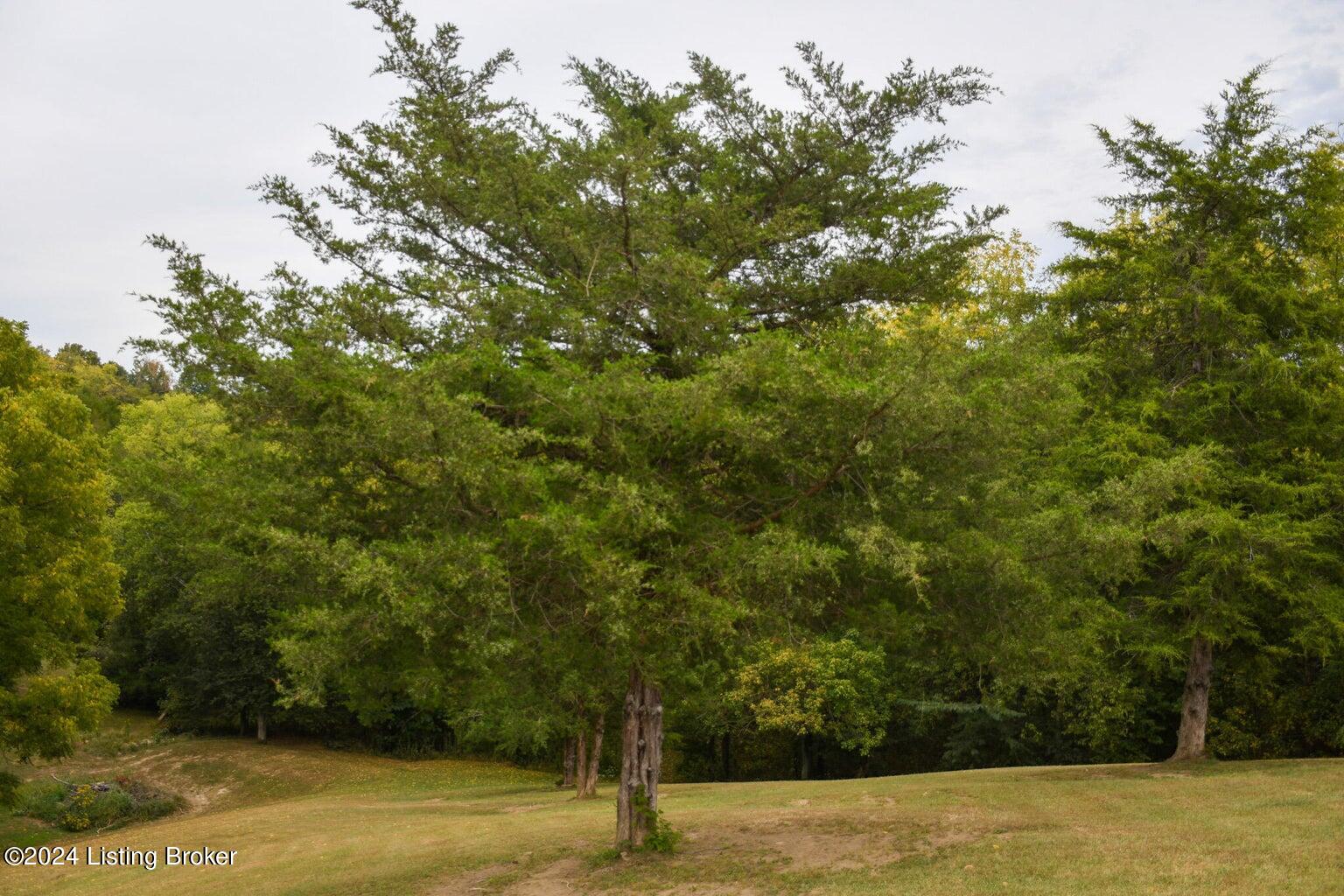 1037 Duncan Rd, Lawrenceburg, Kentucky image 40