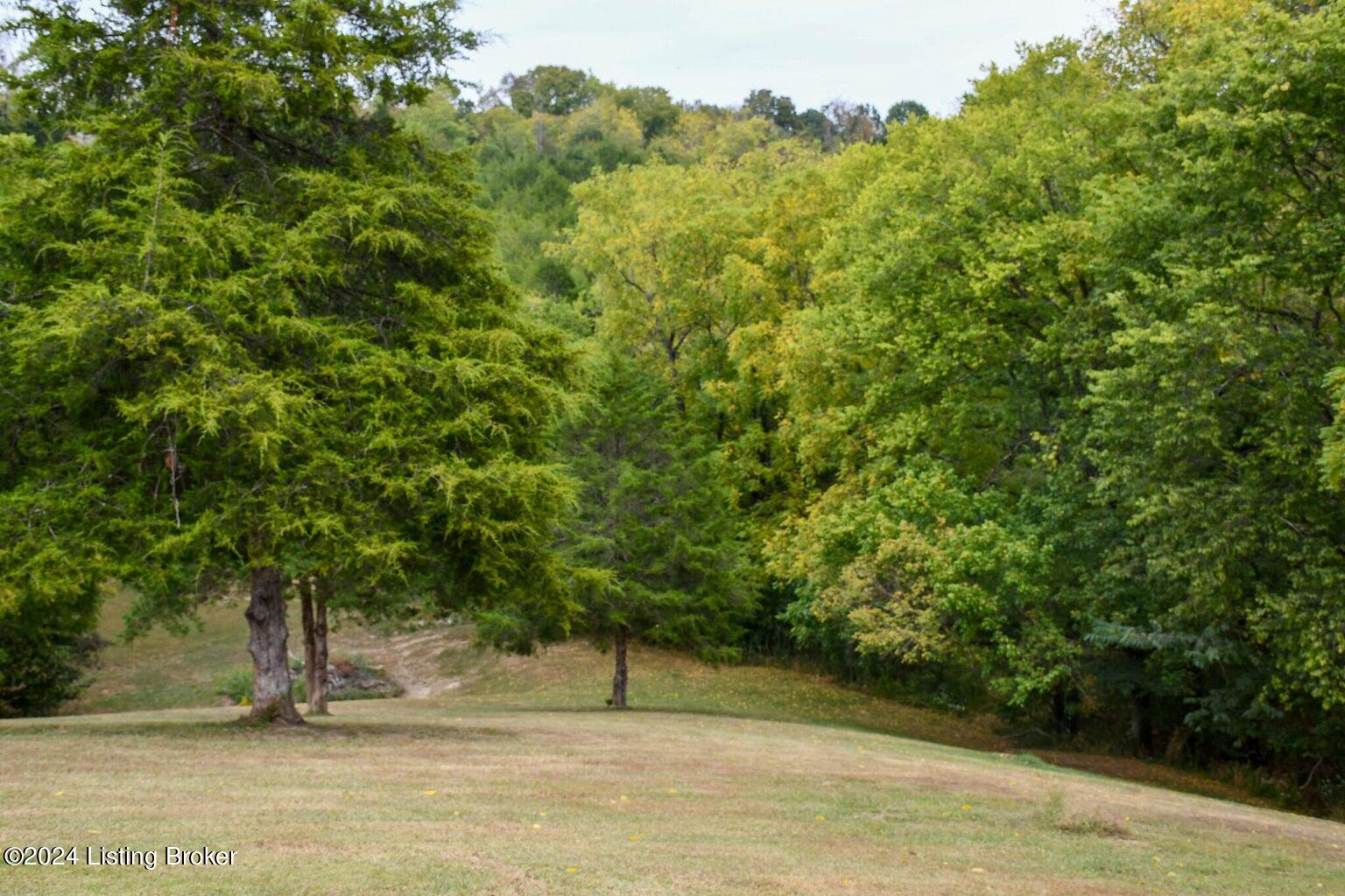 1037 Duncan Rd, Lawrenceburg, Kentucky image 32