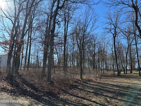 Vacant Land For Sale - 14 Buck Knobs Rd<br/> Ekron, KY 40117