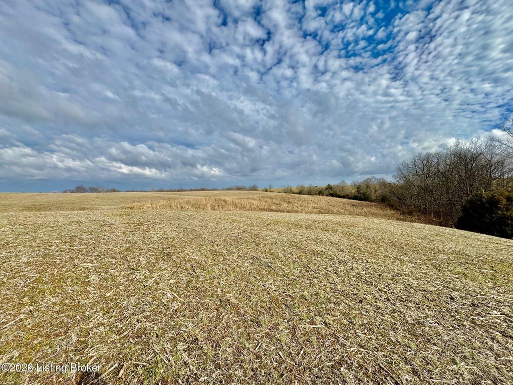 Photo of 1656-3 Old Perryville Loop, Springfield, KY 40069 (MLS # 1712389)