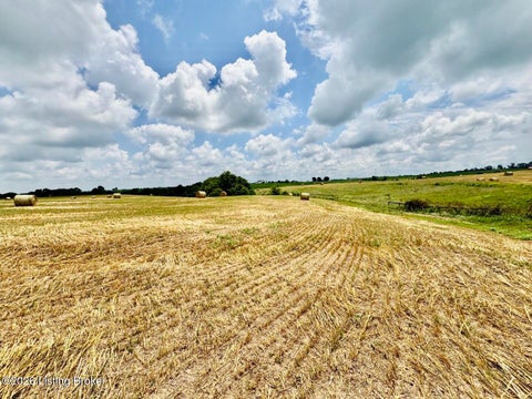 Vacant Land For Sale - 1656-3 Old Perryville Loop<br/> Springfield, KY 40069