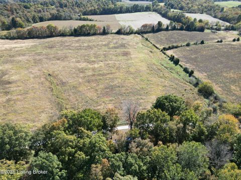 Vacant Land For Sale - L5 1292 Panther Creek Rd<br/> Falls Of Rough, KY 40119